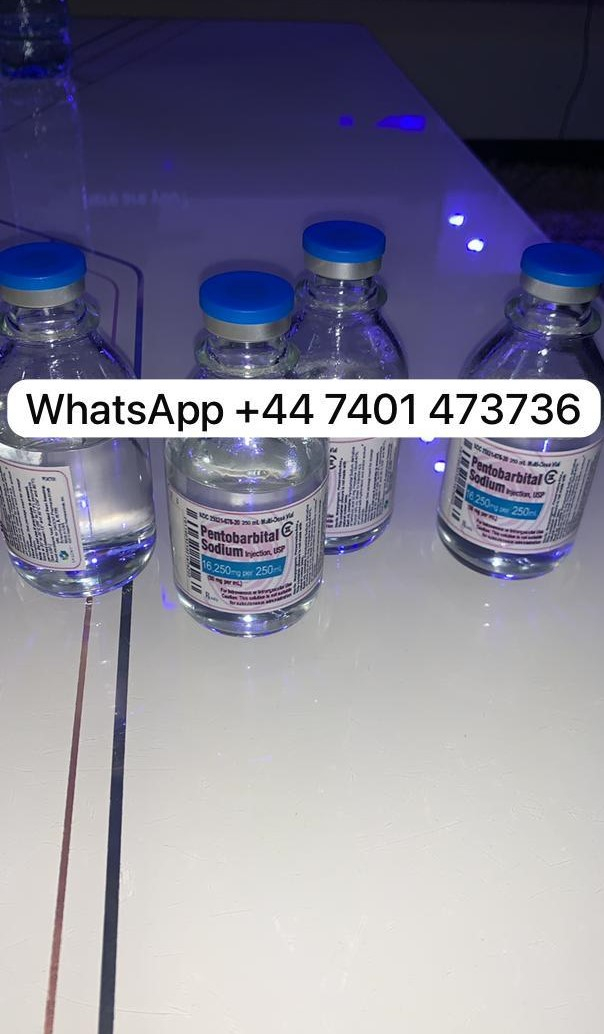 WhatsApp:+447401473736Telegram: @Ranko3222https://toprapidsolution.blogspot.com/