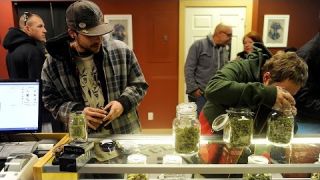 The pros weigh in: How to shop for weed
