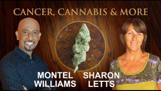 CANCER, CANNABIS & MORE | SHARON LETTS