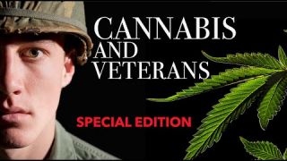 VETERANS FOR CANNABIS [medical marijuana]
