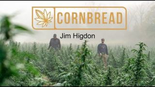 CORNBREAD MAFIA | JIM HIGDON [cannabis prohibition history]
