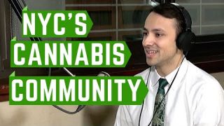 HIGH NY CANNABIS COMMUNITY