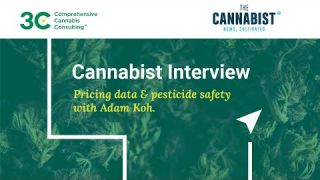 Adam Koh Cannabist Interview