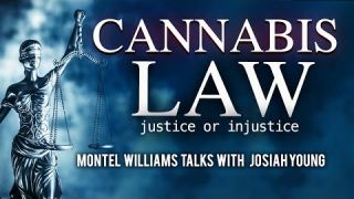 CANNABIS LAW | JOSIAH YOUNG