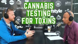  CANNABIS: TESTING FOR TOXINS | ANDREW HALL, PH.D.